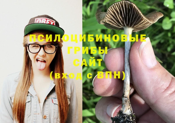 spice Волосово
