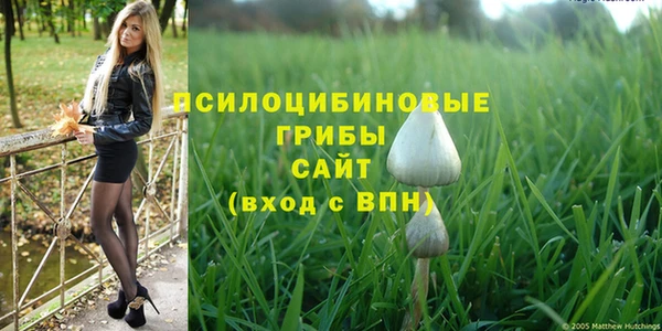 герыч Вязьма